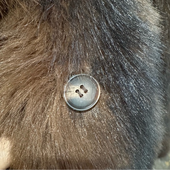 Silence + Noise Yavonne Faux Fur Teddy Jacket LNWOT size XS - Picture 4 of 11